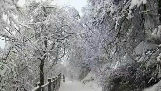 “农信杯·乌金山李宁国际滑雪公开赛”持续报名，热度不减