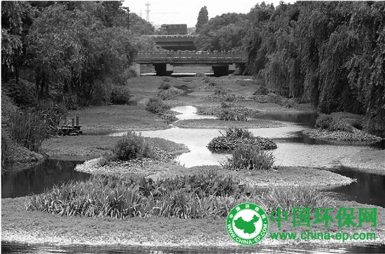 杭州今年前五个月完成61条垃圾河治理