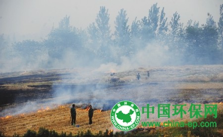 收麦季节将近 山东菏泽全市秸秆禁烧 出现6个火点问责主要领导
