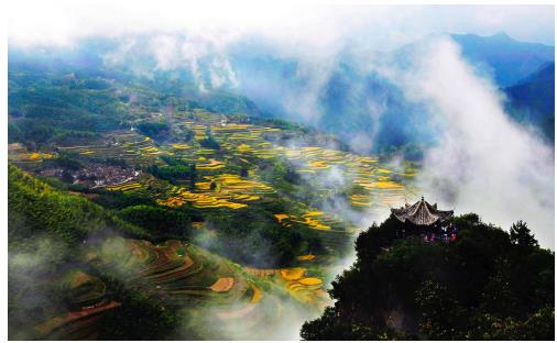 浙江旅游上海吆喝,各种特惠线路、千张门票派送等你来