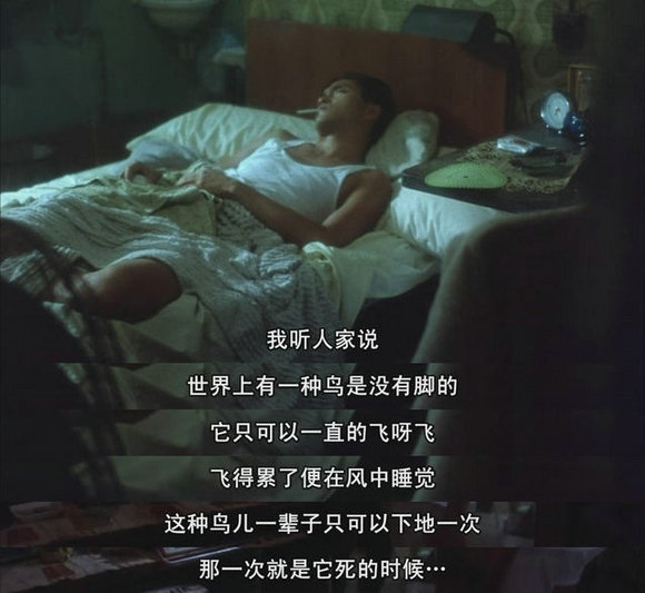 自由,也许对我来说并不是那么简单,路途中的我有时会向着太阳张开自己的手掌,任凭风从指缝间划过。自由,在我被阳光刺痛着几乎睁不开眼的视线里逝去着。