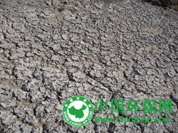 中国农田大量施用化肥危害渐显：土壤出现板结酸化