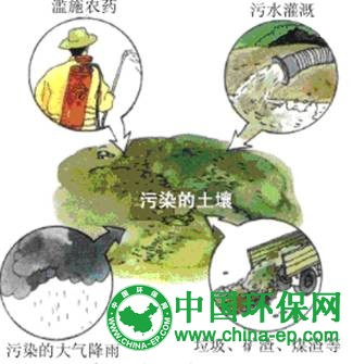 土壤复合污染难治理 受污粮食每年达1200万吨
