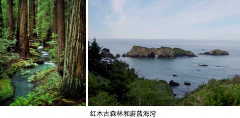 Edmund Jin:Harbor House把西海岸的质朴带到中国