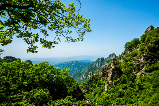 追云白石山,赏“花”暖泉镇