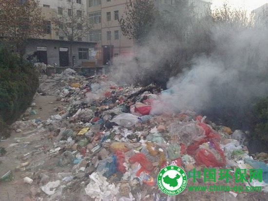 垃圾焚烧排放什么标准才安全? 学者激辩