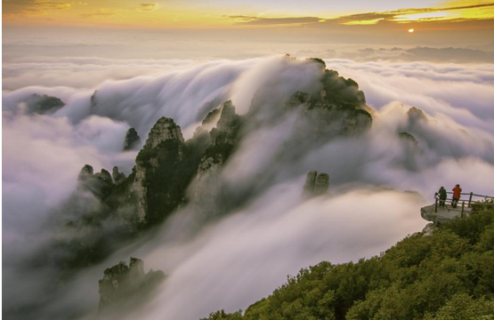 追云白石山,赏“花”暖泉镇