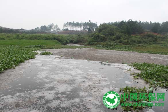 济南封堵污染源头 全力改善河道生态环境打造生态水系