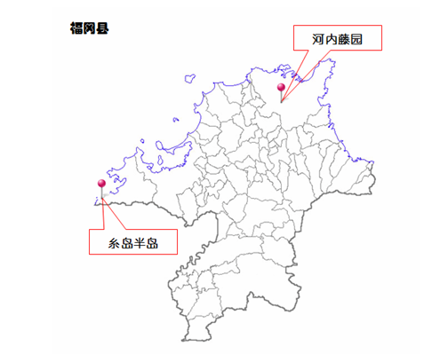 下一站:九州——日本人也不会告诉你的极致秘境