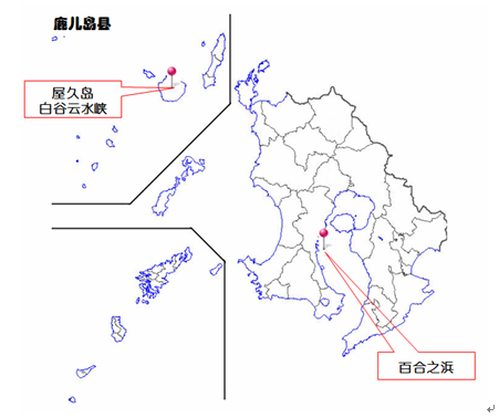 下一站:九州——日本人也不会告诉你的极致秘境