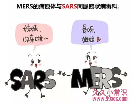 MERS到底有多可怕?什么人易被感染?