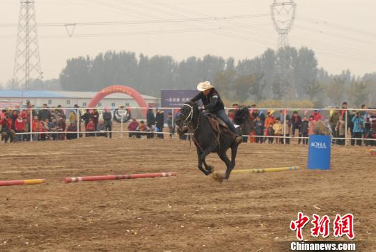 2016廊坊-北京马协AQHA西部马术公开赛走进河北
