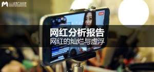 网红分析报告：网红的灿烂与虚浮
