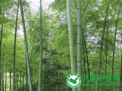 原国家能源局局长张国宝:利用好风核水煤等多种能源对缓解雾霾作用不容忽视