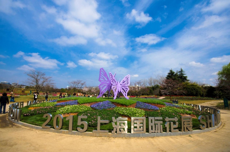 2015上海(国际)花展即将落幕,家庭园艺概念深入人心