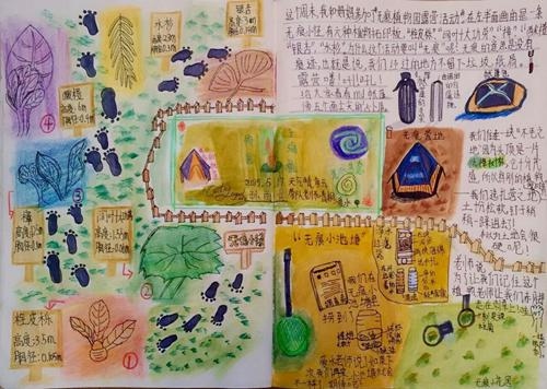 2015上海(国际)花展即将落幕,家庭园艺概念深入人心