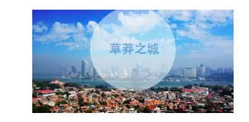 厦门:一群只食人间烟火的创业者一座独一无二的草莽城市