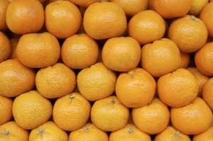 北京食药监局监测显示 柑橘未检出甜蜜素