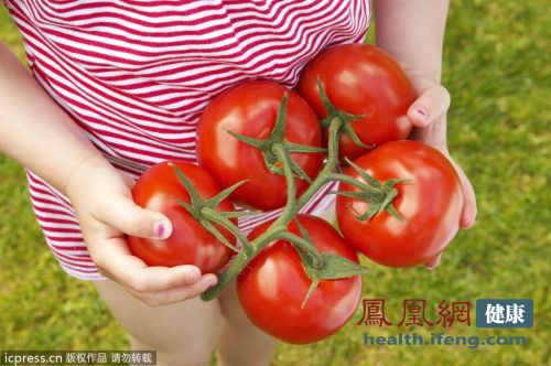 中科院培育出能抗衰老番茄 富含抗氧化剂