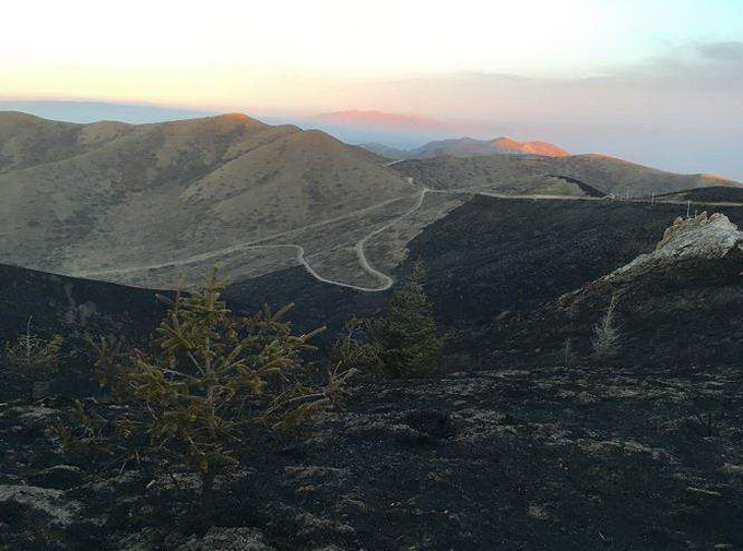 宁夏南华山大火 初步估计过火面积5000亩左右草本植物受损严重