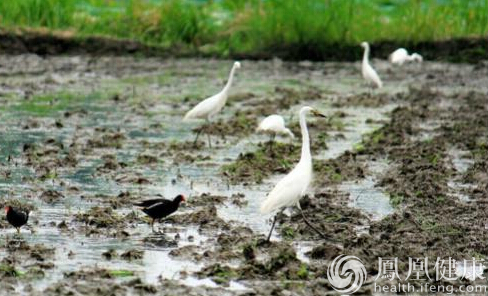 人们为什么要过“生物多样性日”呢