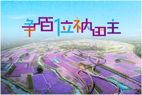 五一之约,我们去看衲田花海吧!