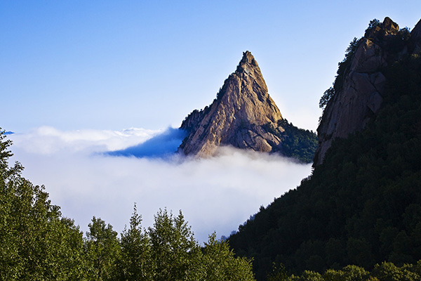 清明去哪玩?细数北京6大春游踏青好地方