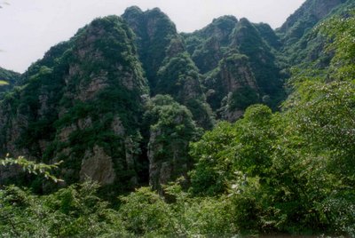 可野营可垂钓可骑行!天津清明八大踏青地推荐