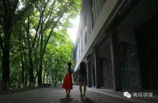 此时春色正好,哪家高校最妖娆?