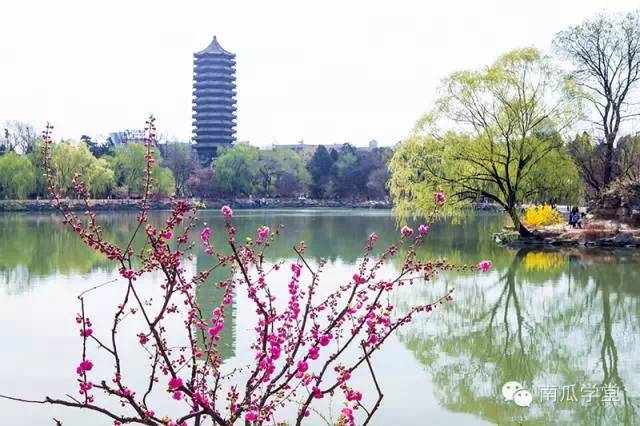 此时春色正好,哪家高校最妖娆?