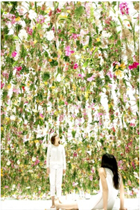 浮游花园主题:与花同根,共园一体