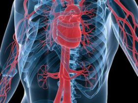 心梗后心衰治疗方法是什么