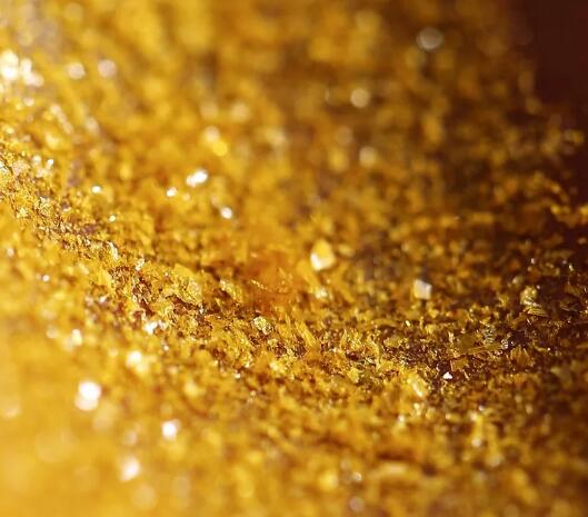 价比黄金的熊胆粉到底有什么独特的药用价值