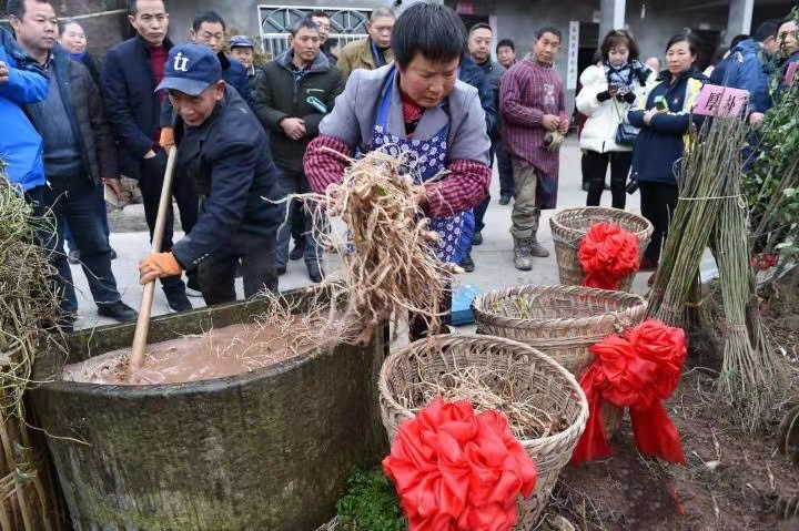 定点扶贫西部多个贫困地区，太极集团着力激发贫困人口内生动力