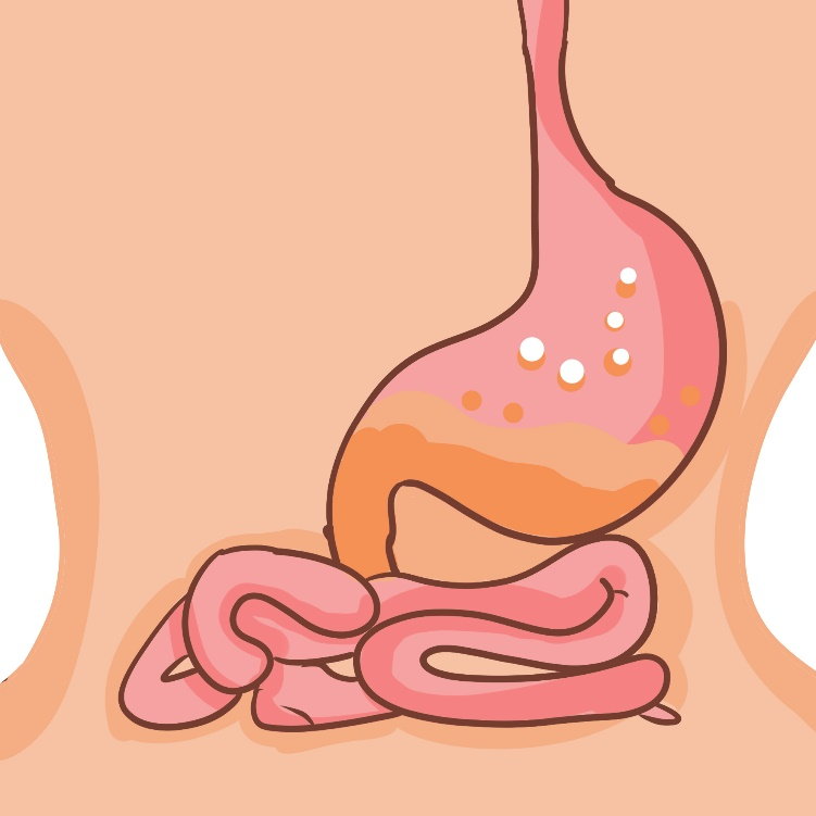肠胃炎的治疗方法有什么？
