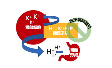 什么牌子的奥美拉唑肠溶胶囊效果好？微丸技术产品药效更持久！