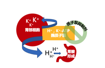 奥美拉唑胃酸可以吃吗？治胃酸起效快！